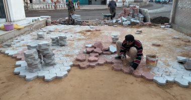 تمهيد الطرق والشوارع ورصفها بالأسفلت والإنترلوك بمدن كفر الشيخ.. صور