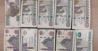 جمارك السلوم تضبط محاولة تهريب كمية من النقد المصرى