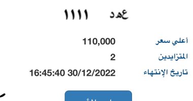 اختار لوحتك.. مزاد إلكترونى على لوحات سيارات مميزة أبرزها "م ص ر" و"ع ه د"