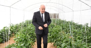 محافظ قنا يتفقد مشروع صوب الخضراوات بمشروعات الأمن الغذائى.. صور 