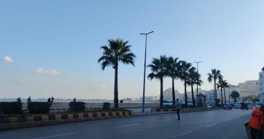 طقس الإسكندرية اليوم.. مستقر صباحا والصغرى تسجل 14 درجة "صور"