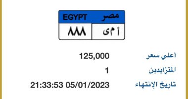 مزاد إلكترونى على لوحات سيارات مميزة أبرزها "ج ن 3" بـ450 ألف جنيه.. صور