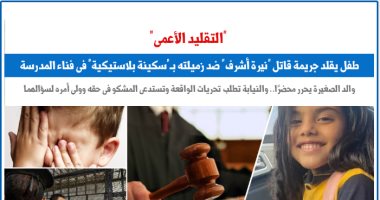 حكاية طفل قلد جريمة قاتل "نيرة أشرف" ضد زميلته بـ"سكينة بلاستيكية".. برلمانى
