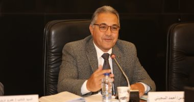 هيئة تنمية الصعيد لـ"النواب": تنفيذ 17 مشروعا بتكلفة بلغت 998 مليون جنيه