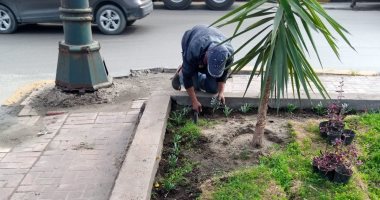 محافظ الإسكندرية: زارعة نحو 40 ألف شجرة بنطاق الأحياء