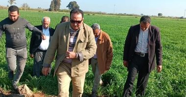 وكيل زراعة دمياط يتفقد زراعات القمح بقرى المحافظة 