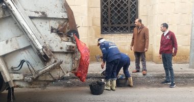 حملات نظافة ورفع المخلفات بمدن وقرى كفر الشيخ.. صور