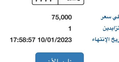 مزاد إلكترونى على لوحات سيارات مميزة بـ450 ألف جنيه.. صور