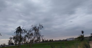 طقس شتوى متقلب بالمحافظات.. غيوم بالفيوم وأمطار خفيفة على بعض القرى.. وشمس ودرجات حرارة منخفضة بالأقصر.. وانخفاض درجات الحرارة ببنى سويف.. وجو غير مستقر بالمنيا.. والأمطار تضرب البحيرة.. صور