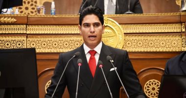 في دراسة يناقشها مجلس الشيوخ.. النائب أحمد أبو هشيمة يطالب بـ إطلاق استراتيجية وطنية للاقتصاد غير الرسمي