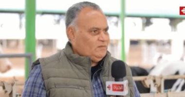 مزارع وفرة: التحالف الوطنى يخطط لتوفير 100 ألف رأس من الأبقار عالية الإنتاج