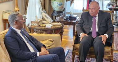 وزير الخارجية يؤكد تضامن مصر الكامل مع الصومال فى مواجهة الإرهاب