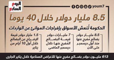 8.5 مليار دولار.. الحكومة تُنعش الأسواق بإفراجات الموانئ عن الواردات.. إنفوجراف