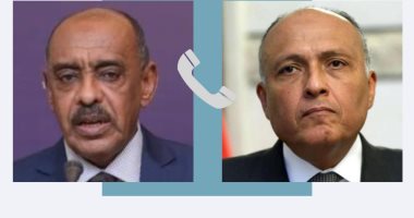 وزير الخارجية يبحث مع نظيره السودانى ملف سد النهضة والقضايا الإقليمية