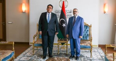 "المنفى" و "المشرى" يستعرضان التطورات الأخيرة بملف الأساس الدستورى