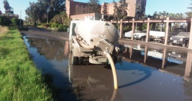 التنمية المحلية تناشد المواطنين الابتعاد عن الأشجار بسبب سوء الأحوال الجوية