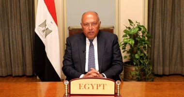 وزير الخارجية يلقي كلمة بمؤتمر "صوت الجنوب" تحت الرئاسة الهندية لمجموعة العشرين