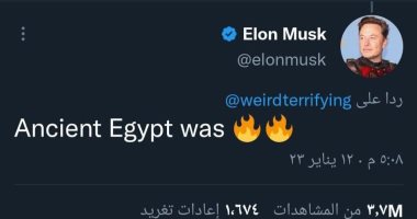 إيلون ماسك: مصر القديمة كانت حضارة متوهجة