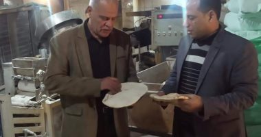 محافظ الدقهلية يحيل 63 محضرا بالمخالفات التموينية إلى النيابة العامة‎‎