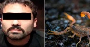 العثور على "عقرب" من نوع نادر فى منزل نجل إمبراطور المخدرات التشابو