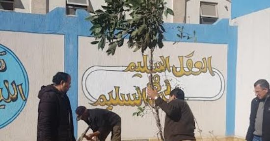 محافظ الإسكندرية: زارعة 41277 شجرة لتنفيذ المبادرة الرئاسية بالأحياء 