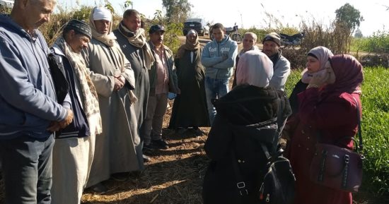 زراعة كفر الشيخ: ندوات إرشادية للمزارعين ويوم حقل لترشيد استخدام المياه
