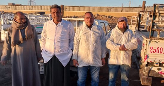 لجنة لتحصين الماشية ضد الحمى القلاعية والوادى المتصدع بمراكز الأقصر.. صور