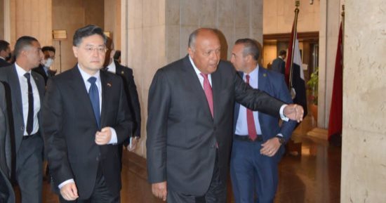 وزير الخارجية يستقبل نظيره الصينى.. ومؤتمر صحفى مشترك بعد قليل.. صور