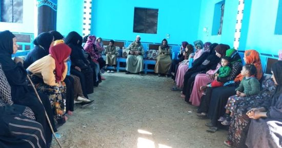 "القومى للمرأة" بأسوان ينظم 24 جلسة دوار للتوعية المجتمعية ضمن "حياة كريمة"
