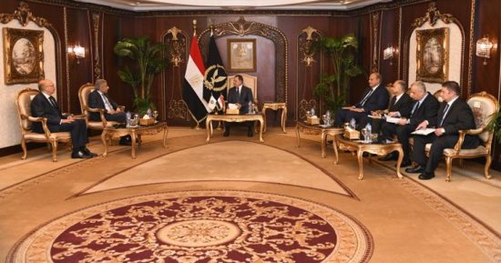 وزير الداخلية: مصر تهتم بالتعاون مع محيطها العربى ونشر الخبرات الشرطية