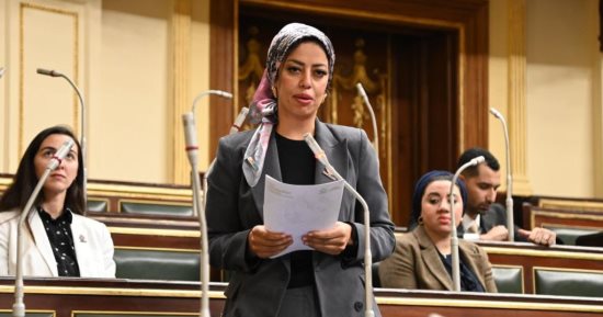 نائبة التنسيقية رشا كليب تسأل وزير الرى عن جهود تنمية الموارد المائية