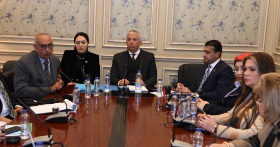 رسائل وزارة الخارجية وخارجية النواب بشأن ليبيا: مصر تدعم الحل الليبى