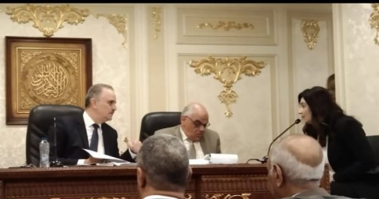 "اقتراحات النواب" توافق على اقتراح برغبة للنائبة أميرة العادلى لإنشاء كلية تكنولوجية بالعبور  