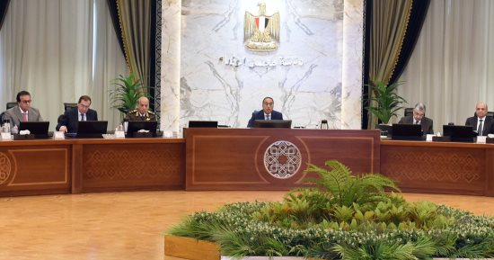 الحكومة توافق على قرار جديد بشأن شركة "أبيلا مصر" 