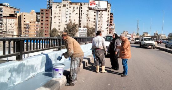 محافظ الدقهلية: رفع 290 طن قمامة و30 طن أتربة من الشوارع والميادين بالمنصورة