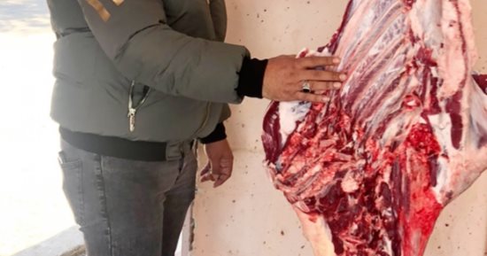 تموين الدقهلية تكثف حملاتها على الأسواق بالمنصورة ودكرنس ومحلة دمنة‎‎