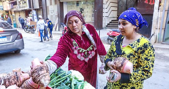 بيتزرع 10 شهور وطوله بيوصل مترين وكله فوائد.. قلقاس قرية شنوان بيتصدر للعالم كله