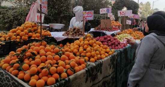 محافظ الدقهلية يحيل 113 محضر مخالفات تموينية للنيابة العامة