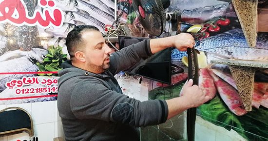 الحنش أكلة مميزة فى بورسعيد.. اعرف قيمته الغذائية بسوق الأسماك.. فيديو