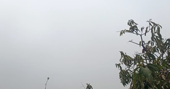 شبورة مائية على معظم قرى ومدن المنوفية والمرور يطالب بتوخى الحذر خلال القيادة