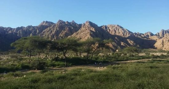 الأودية الجبلية بحلايب وشلاتين جمال ربانى وسحر الطبيعة يكتمل.. يعشقها محبو الاستجمام وأشهرها هيبا والدئيب وأبرق وسواوريب.. قبلة رحلات الشباب ولونها يتحول للأخضر بالشتاء.. وبها الحيوانات البرية والطيور.. صور