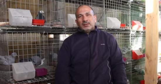 اللى معاه قرش يستثمره يجيب حمام ويطيّره.. صائد "الكؤوس" فى سباقات الزاجل