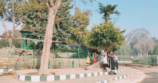 حديقة الحيوان بالجيزة تستقبل الزائرين طوال الأسبوع عدا الثلاثاء.. صور