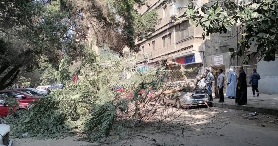 سقوط شجرة فى شارع ميشيل باخوم بالدقى يتسبب فى غلق الطريق .. صور