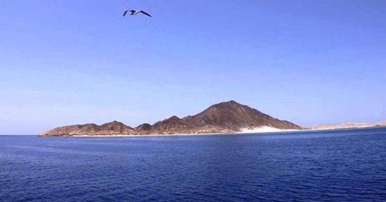 "شدوان المجد".. 53 عامًا على معركة استرداد أهم الجزر البحرية من العدو الإسرائيلي.. أهالي الغردقة شاركوا فى صد الهجوم بعد قصف جوي استمر ساعات.. ومحافظة البحر الأحمر تحتفل بعيدها القومى فى هذا اليوم.. صور 