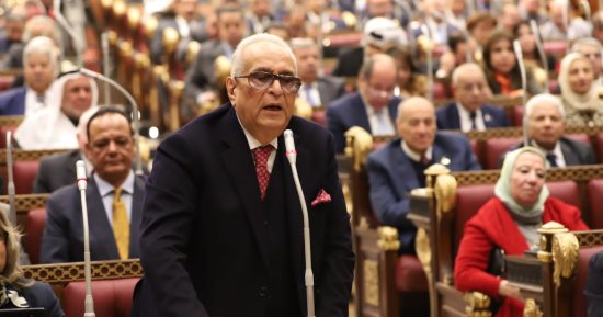 وكيل مجلس الشيوخ: العنف الأسرى غير المباشر أشد خطورة على الأسرة والمجتمع