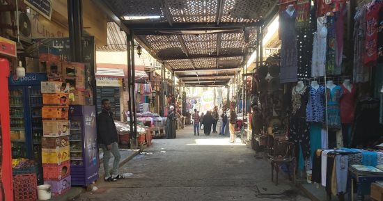 تحرير وضبط 85 محضرا ومخالفة فى حملات لشرطة المرافق بشوارع الأقصر