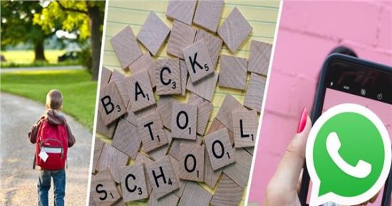 أمهات يروين تجاربهن مع "جروبات الماميز".. واستشارى أسرى توضح سلبياته