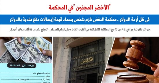 النقض ترسى مبدأ قضائيا بسداد المديونيات بالدولار فى هذه الحالة.. عن "برلماني"