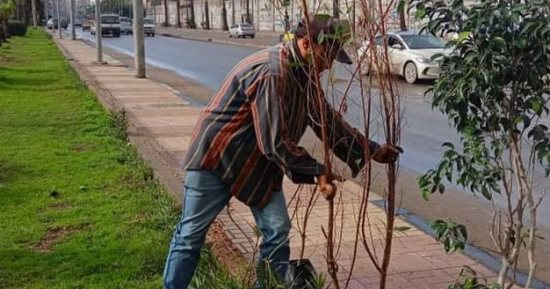 رفع كفاءة المسطحات الخضراء بالمنتزه ضمن مبادرة "100 مليون شجرة" بالإسكندرية
